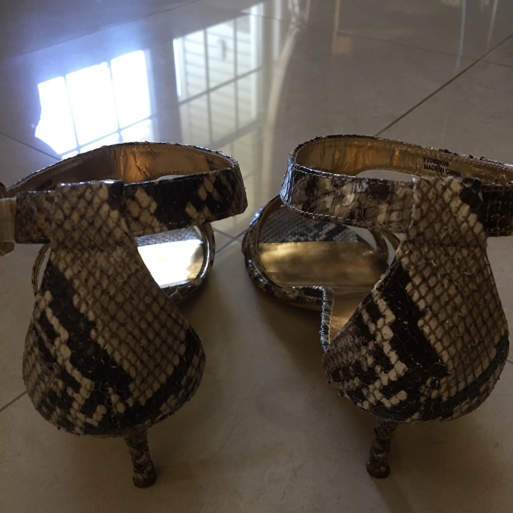 Coach. Real Python Detailing - image 3